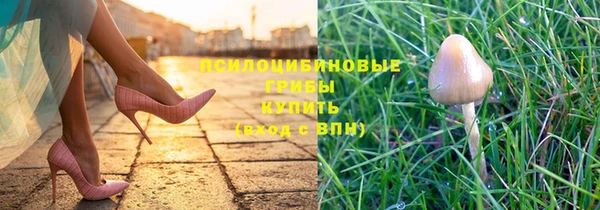 стафф Вязники