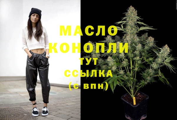 дживик Вязьма